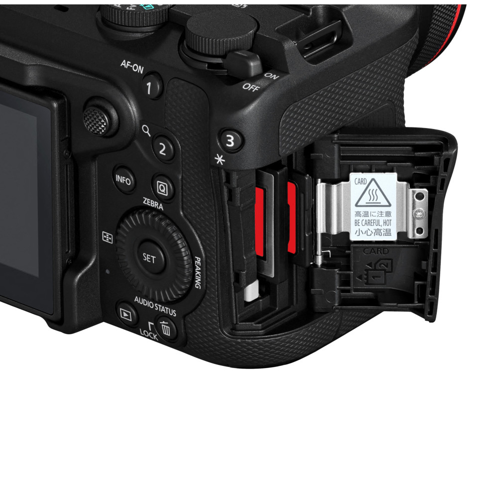 Canon EOS R6 V body