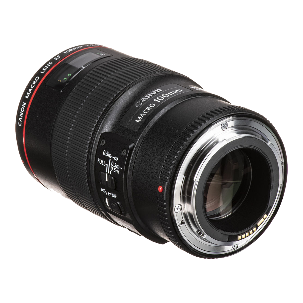 Объектив Canon EF 100mm f/2.8L Macro IS USM — детальное фото