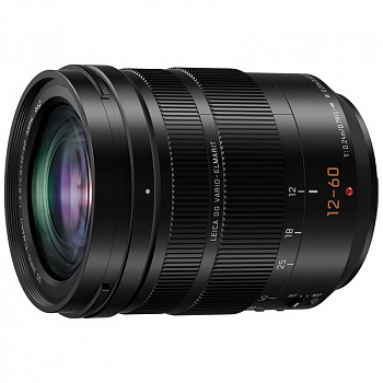 Panasonic Leica DG Vario-Elmarit 12-60mm f/2.8-4.0