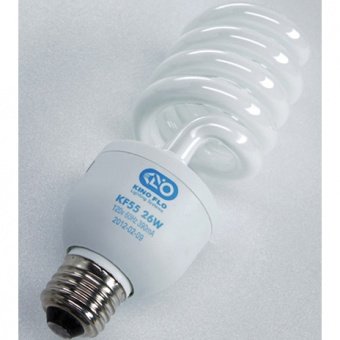 Kino Flo KF55 E27 (5500K / 300W)