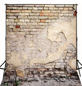 Фон виниловый 180 x 250см V3