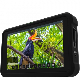 Монитор Atomos Shinobi 5.2″ 4K