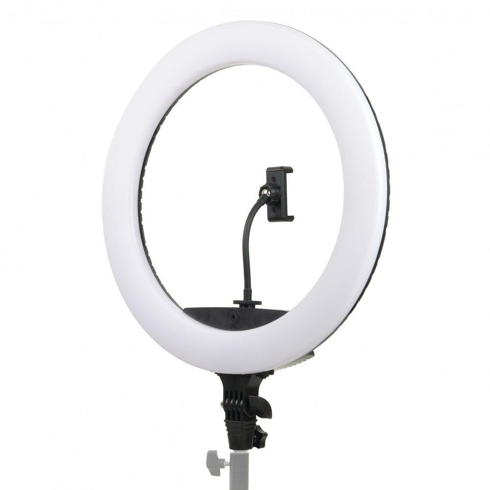 Осветитель кольцевой Falcon Eyes BeautyLight 450R LED — детальное фото